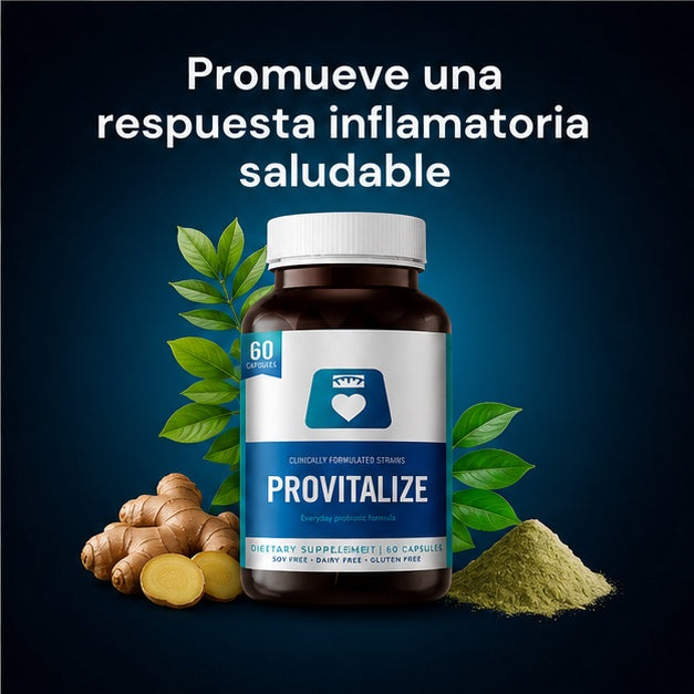 PROVITALIZE