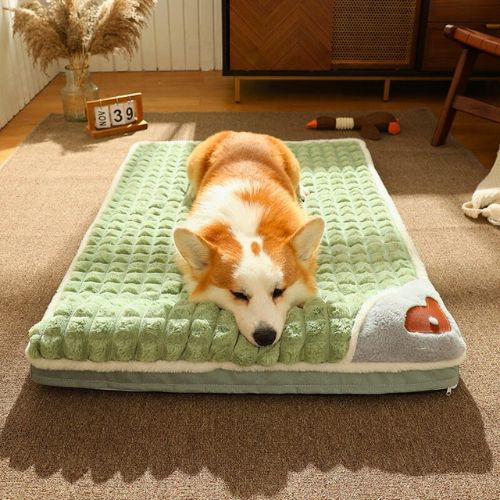Cama Ortopédica Mascotas